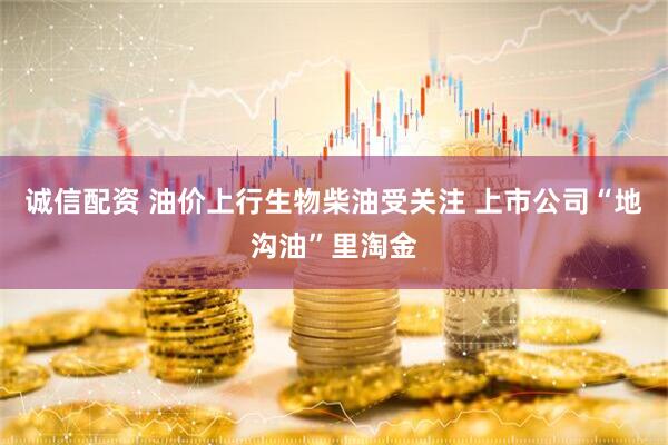 诚信配资 油价上行生物柴油受关注 上市公司“地沟油”里淘金