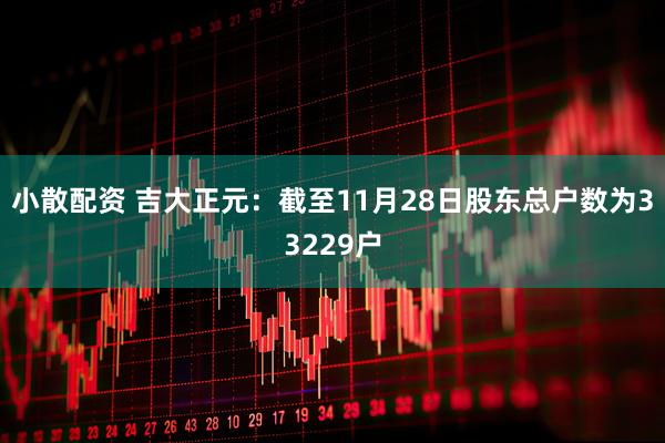 小散配资 吉大正元：截至11月28日股东总户数为33229户