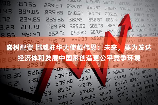 盛树配资 挪威驻华大使戴伟恩：未来，要为发达经济体和发展中国家创造更公平竞争环境